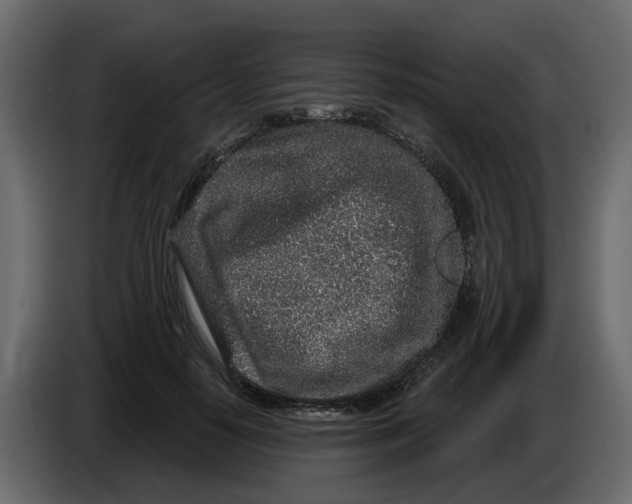 X0000083590650200703021846
