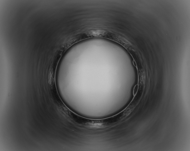 X0000083590651200703021846