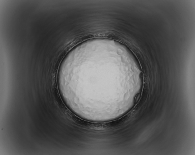 X0000083590652200703021846