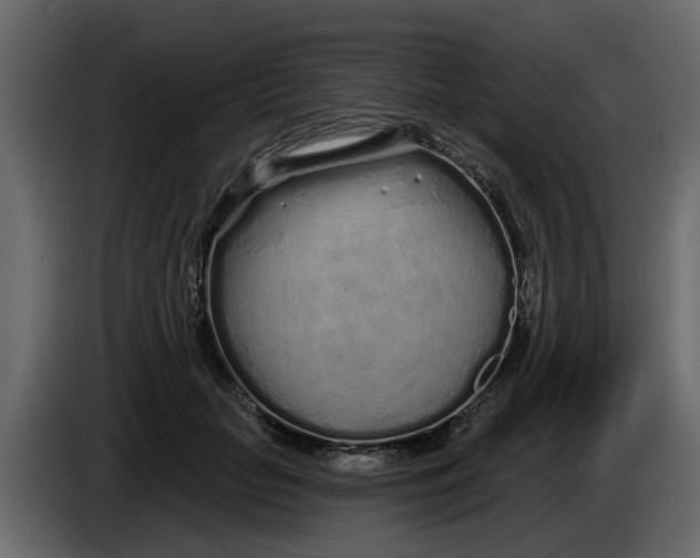 X0000083590653200703021846
