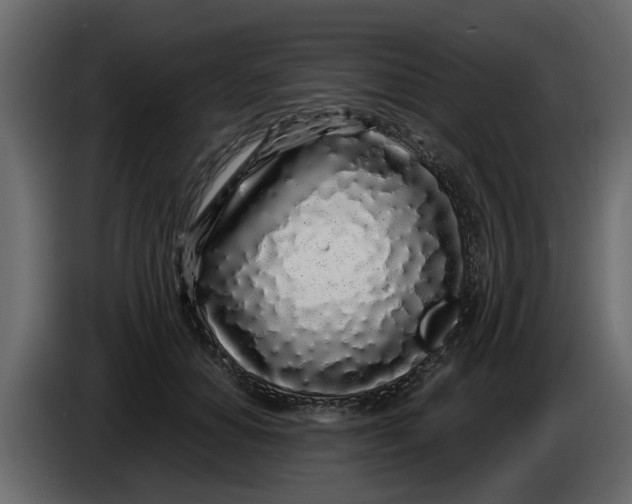 X0000083590654200703021846