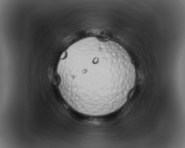 X0000083590656200703021846