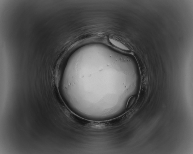 X0000083590658200703021846