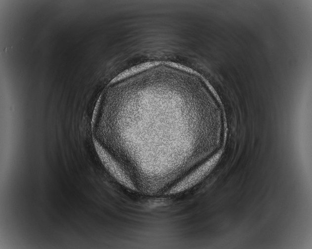 X0000083590659200703021846
