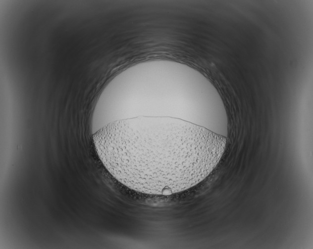 X0000083590660200703021846