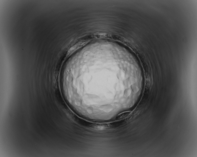 X0000083590662200703021846