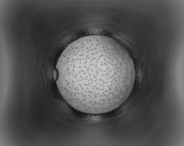X0000083590665200703021846