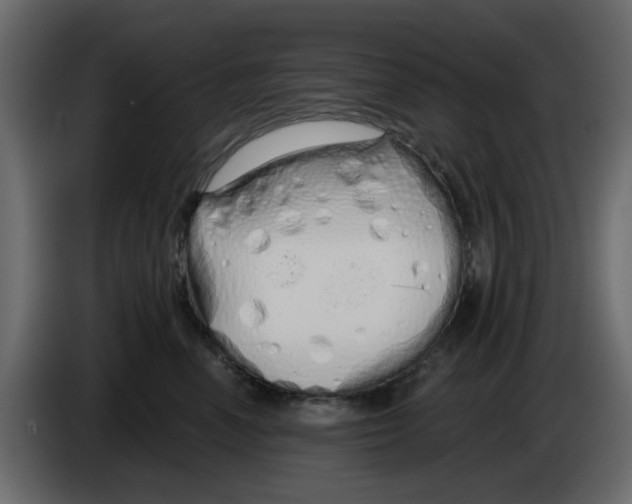 X0000083590666200703021846