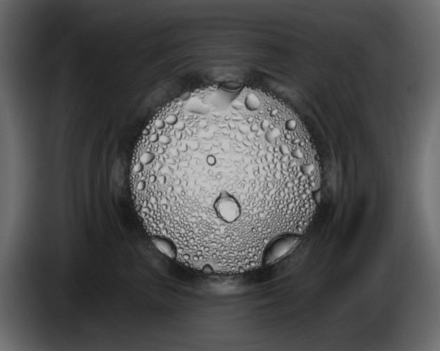 X0000083590667200703021846