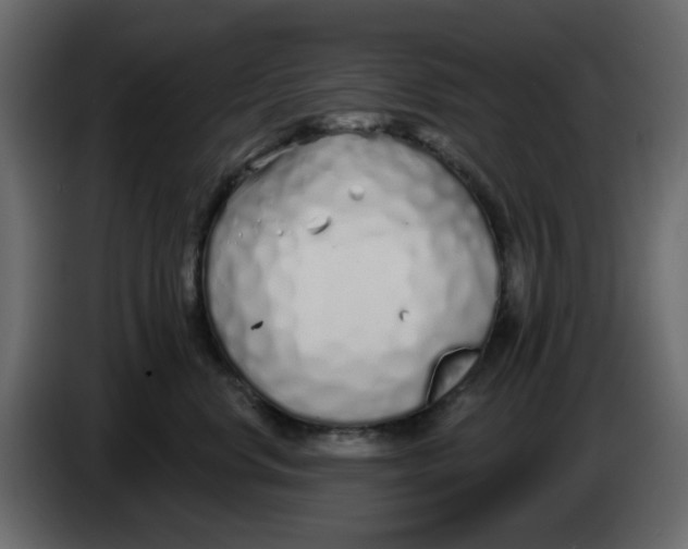 X0000083590668200703021846