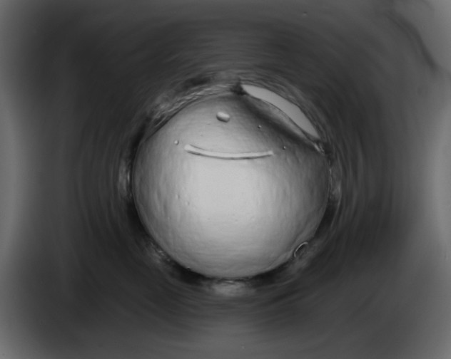 X0000083590669200703021846