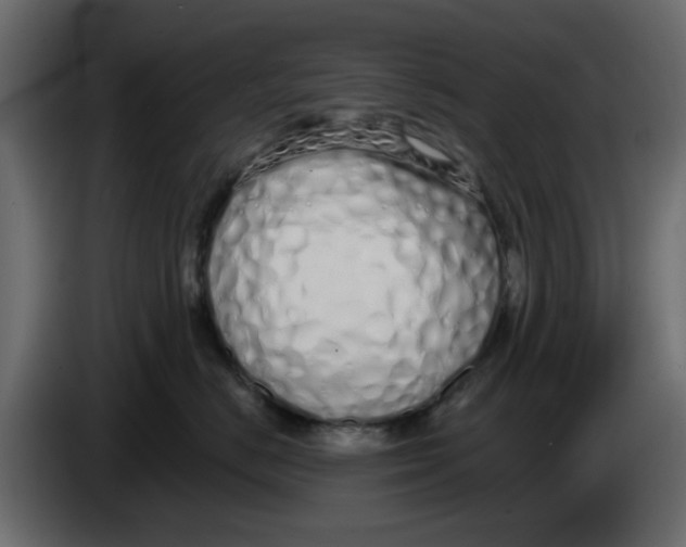 X0000083590670200703021846