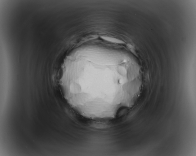 X0000083590671200703021846
