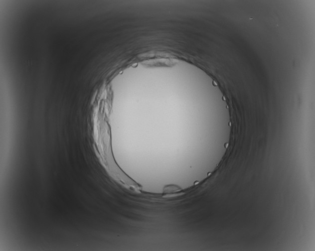 X0000083590672200703021846