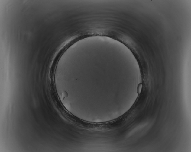 X0000083590674200703021846