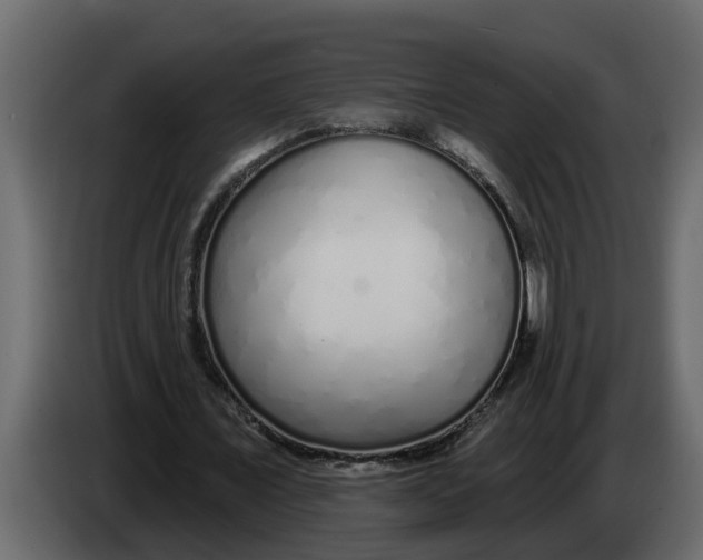 X0000083590675200703021846