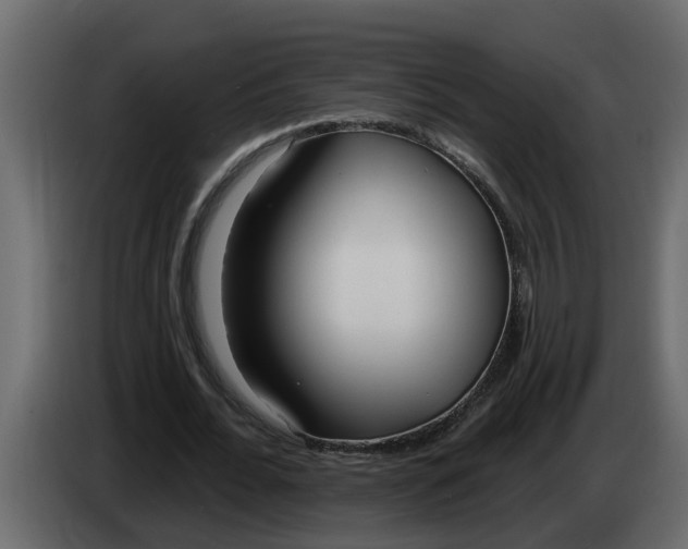 X0000083590676200703021846