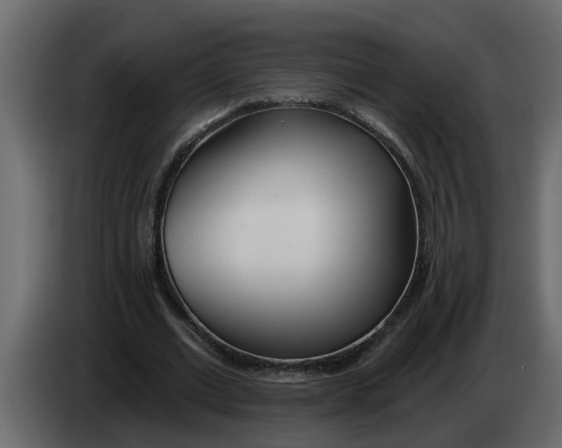 X0000083590677200703021846