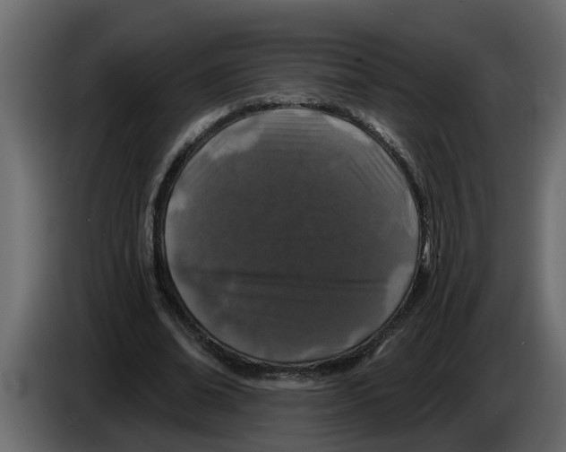 X0000083590678200703021846