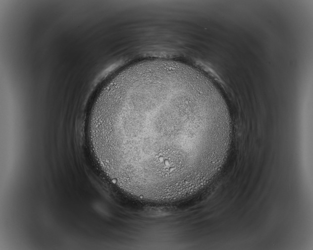 X0000083590679200703021846
