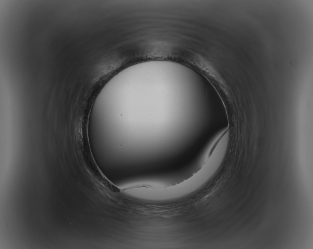 X0000083590681200703021845