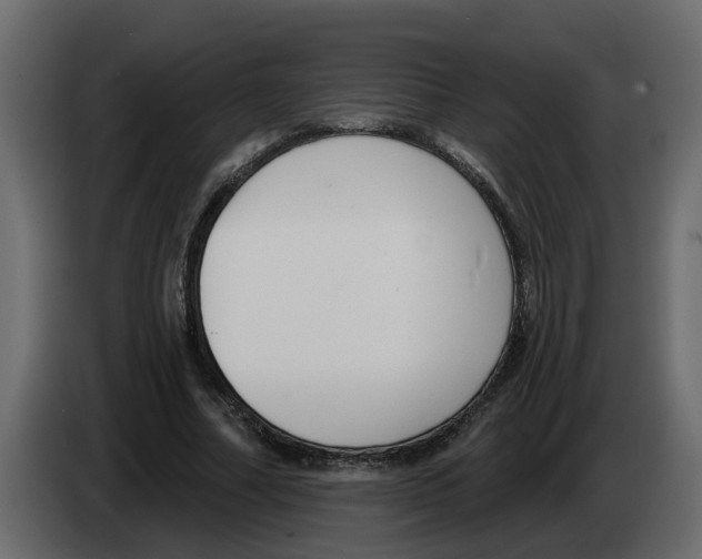 X0000083590682200703021845