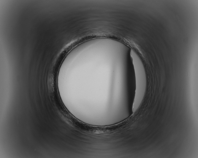 X0000083590684200703021845
