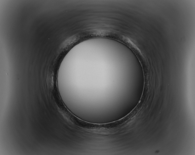 X0000083590685200703021845