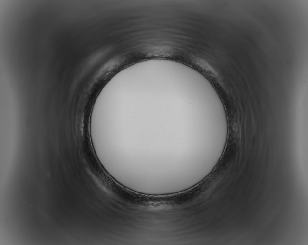 X0000083590686200703021845