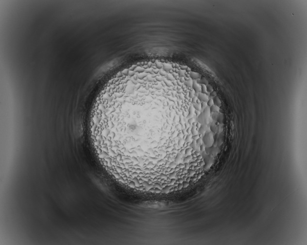 X0000083590687200703021845
