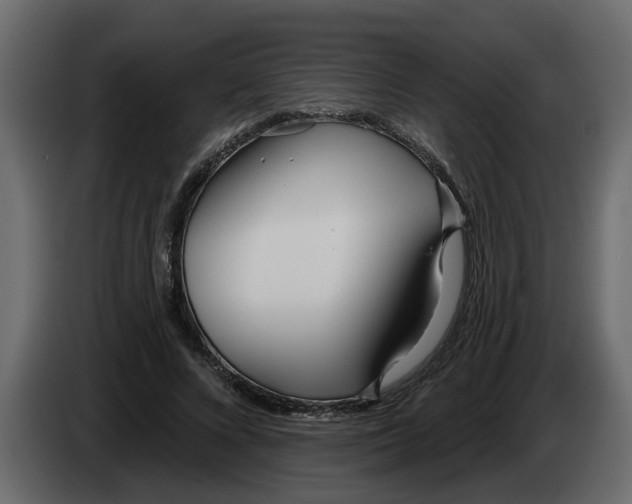 X0000083590688200703021845