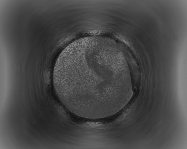 X0000083590689200703021845