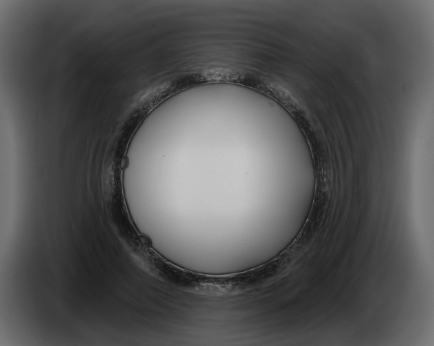 X0000083590690200703021845