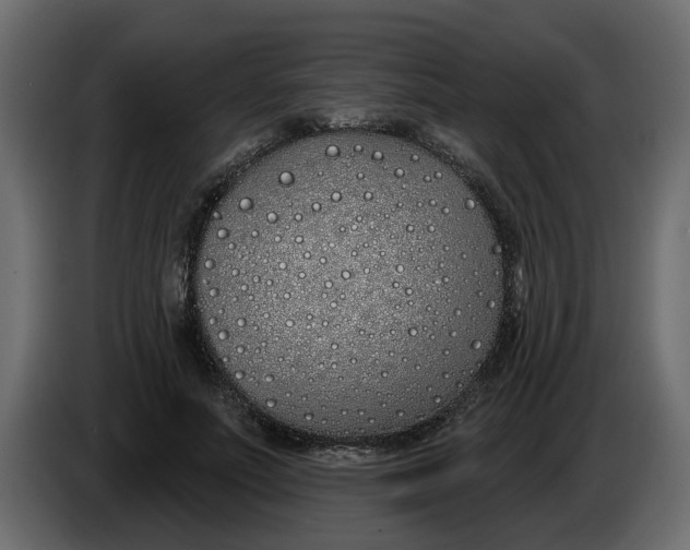 X0000083590691200703021845