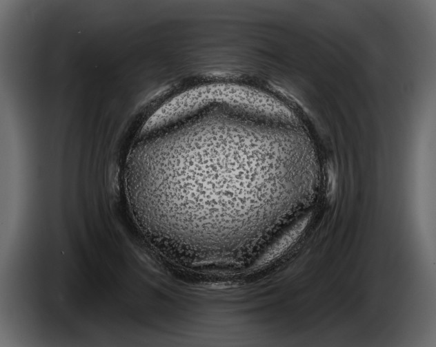 X0000083590692200703021845