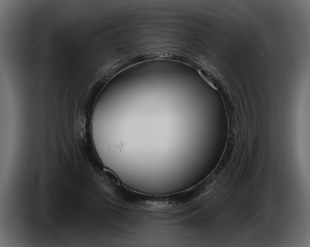 X0000083590693200703021845