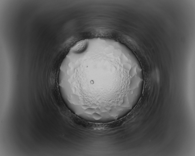 X0000083590695200703021845