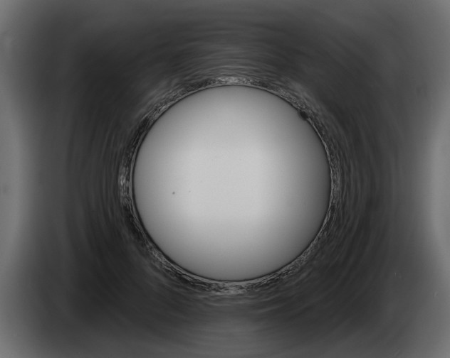 X0000083590696200703021845