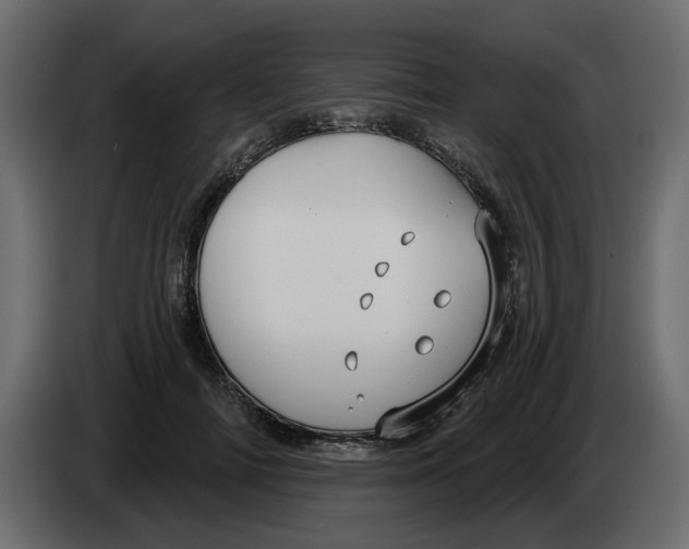 X0000083590698200703021845