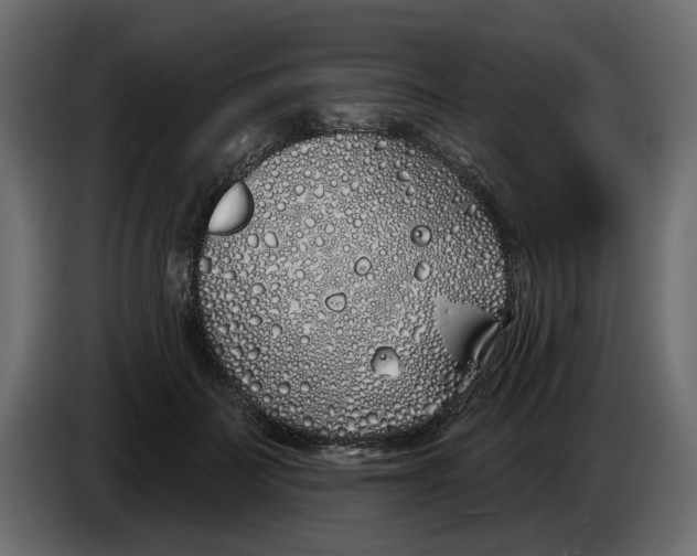X0000083590699200703021845