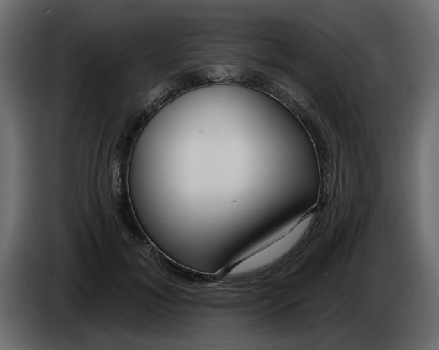X0000083590700200703021845