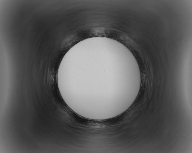 X0000083590702200703021845