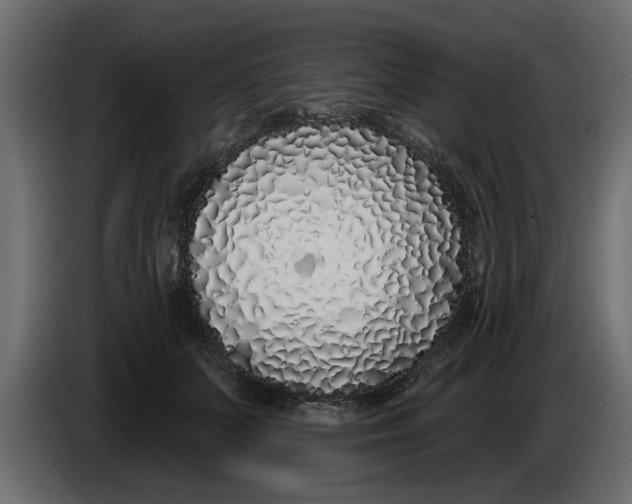X0000083590703200703021845
