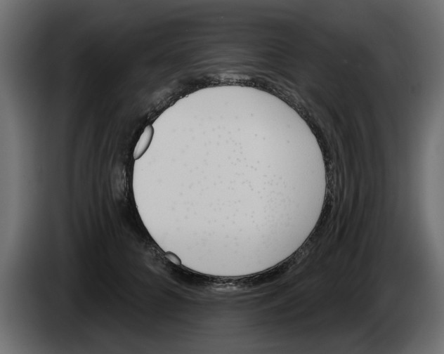 X0000083590704200703021845