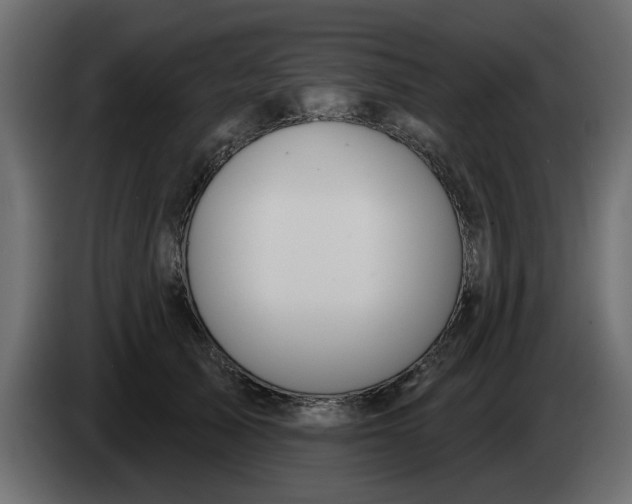 X0000083590705200703021845