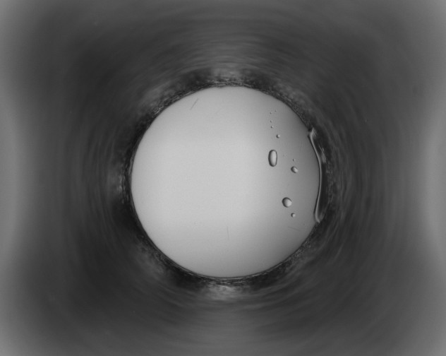 X0000083590706200703021845