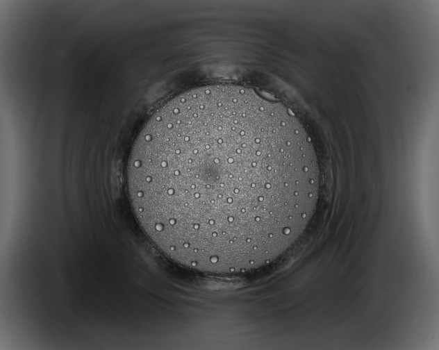 X0000083590707200703021845