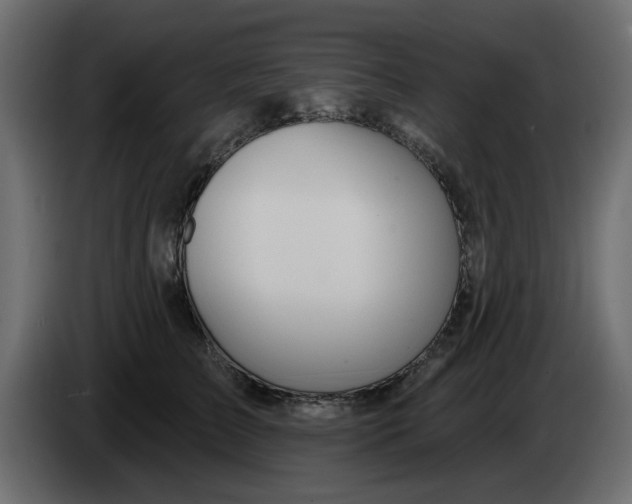 X0000083590709200703021845