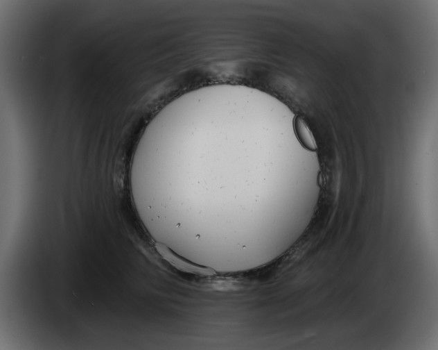 X0000083590710200703021845