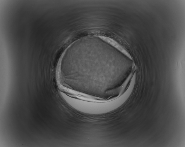 X0000083590712200703021845